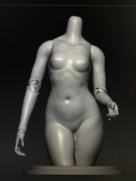 1/3 female body part [1-part torso](preorder)