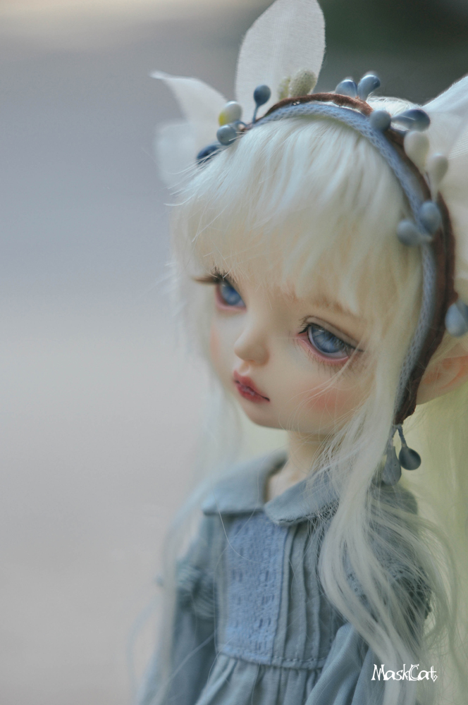 【Maskcat Doll】New Dolls: 26cm line Clady & 1/4 Bellis